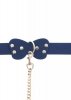 Silicone Collar and Leash Blue